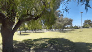Daumler Park Tempe AZ