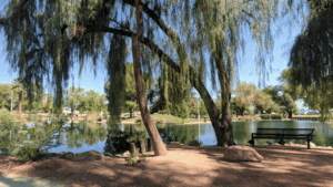 Selleh Park Tempe AZ